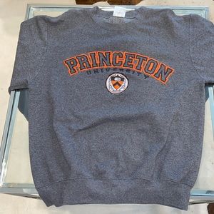 Champion Princeton Sweatshirt Grey 